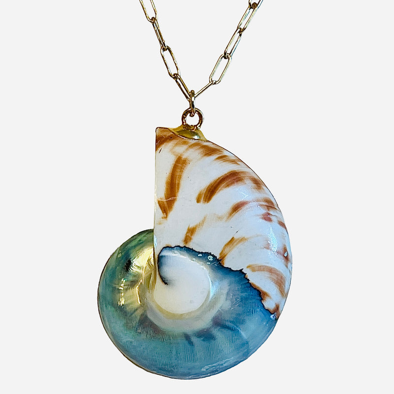 Large Silver & Orange Nautilus Shell Pendant Necklace