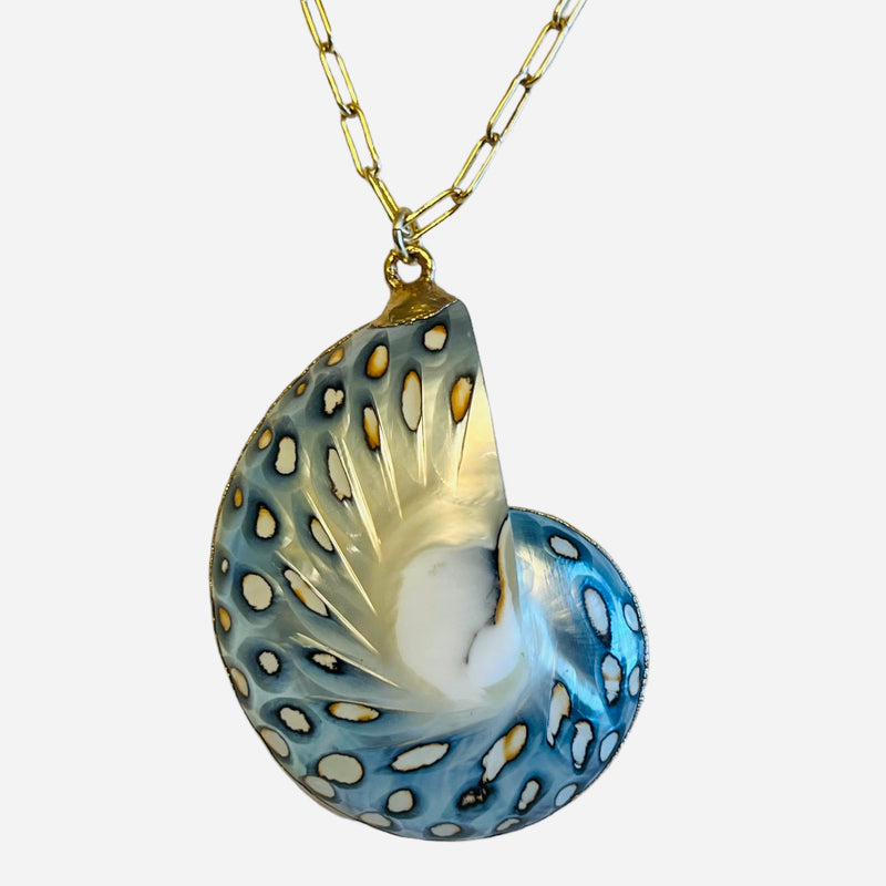 Large Blue/Silver Nautilus Shell Pendant Necklace
