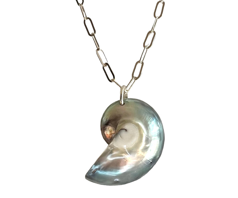 Small Silver Nautilus Shell Pendant Necklace