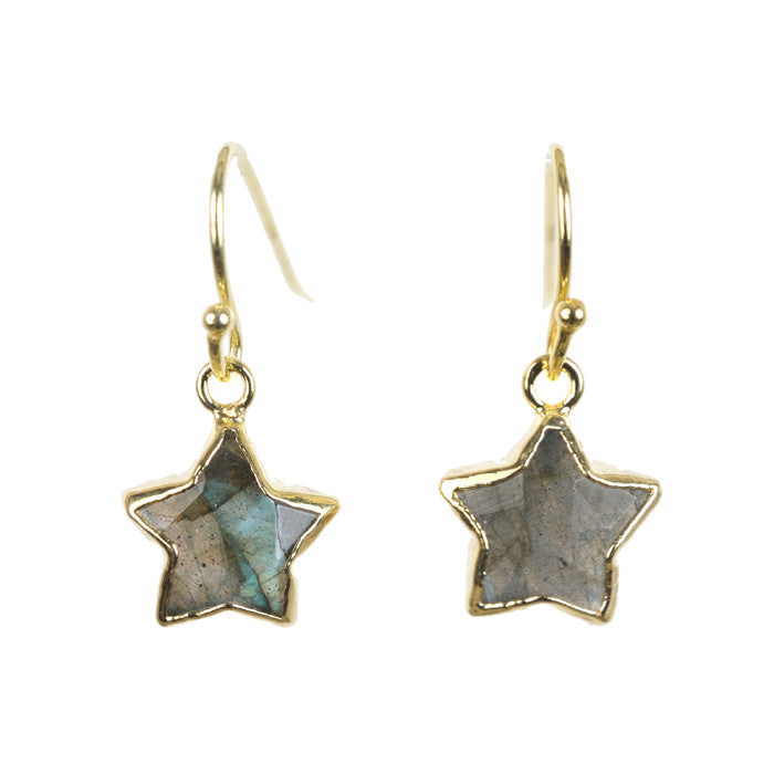 Star Bright Earring - (5 Gemstone Options)